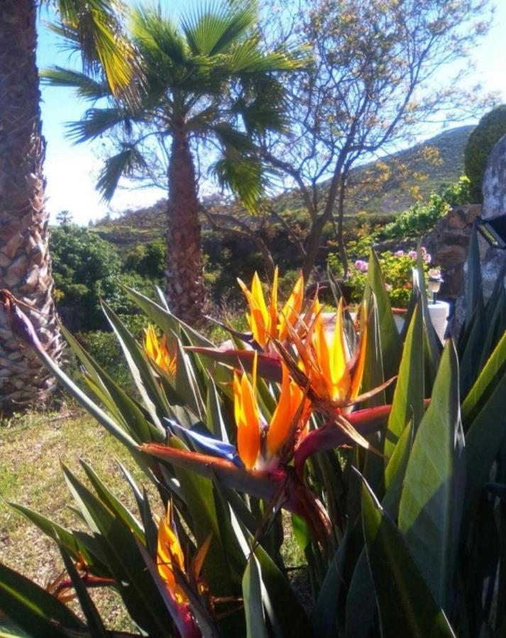 La Casita Ma Petite Folie Tenerife Santa Cruz de Tenerife Buitenkant foto