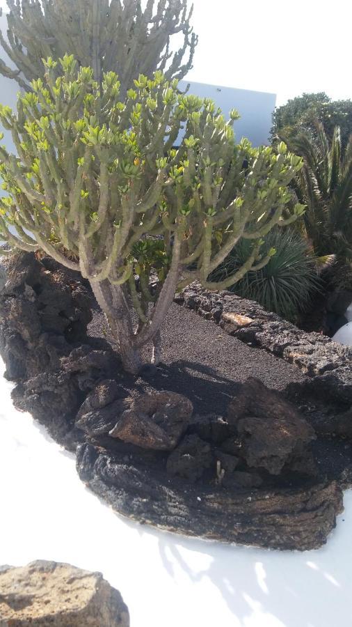 La Casita Ma Petite Folie Tenerife Santa Cruz de Tenerife Buitenkant foto